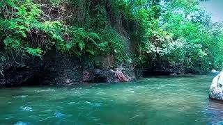 Relaxing stream river sounds white noise for sleeping meditation healing positive energy