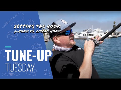 Fishing Tips] Setting The Hook, J-Hook Vs. Circle Hook - FAQs