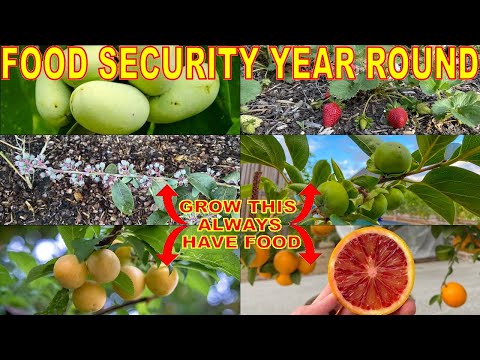 Video: Zone 8 frugttræer: Lær om frugttræsorter til zone 8