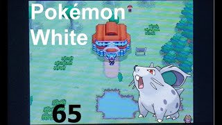 Let's Play Pokémon White: Part 65 - White Forest (No Commentary)