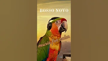 BOSSO NOVO 🔝 Full Video Link Above