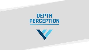 Vizual Edge - Depth Perception