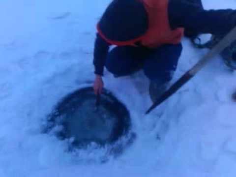 Дед мороз и серый волк в хорошем качестве мультфильм 1978