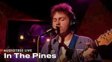 In The Pines - Birdsong | Audiotree Live