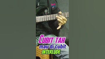 CUBIT TAK MAU DICUBIT #feed #shorts  #fyp #viralvideo #trending #music #guitar #cover