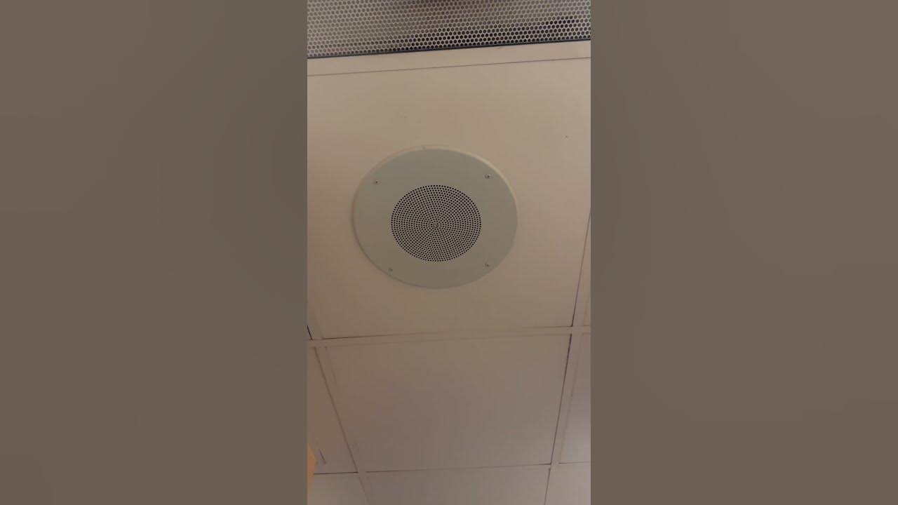 Atlas Sound SD72W in Carabbas Bathroom