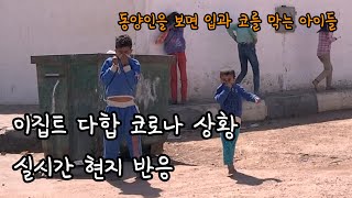 이집트 다합 코로나 상황 그리고 실시간 현지 반응