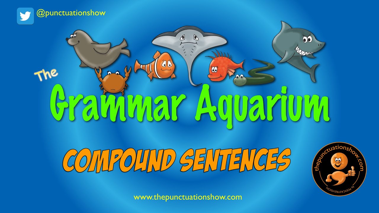 Is Fish Tank One Word or Two? [Grammar & Usage Guide] - SmartSpectrum.blog