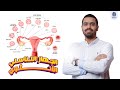 شرح الجهاز التناسلي الأنثوي للصف الثالث الثانوي احياء 3 ثانوي 2025 محمد العراقي
