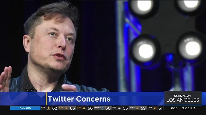 Twitter layoffs raise concerns that hate speech and misinformation will plague social media site