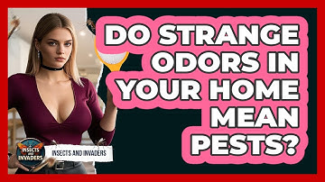 Do Strange Odors In Your Home Mean Pests? - Insects and Invaders