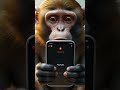This Monkey Built a House… Then YOU Destroyed It 😢🏠 #shorts"  #trending