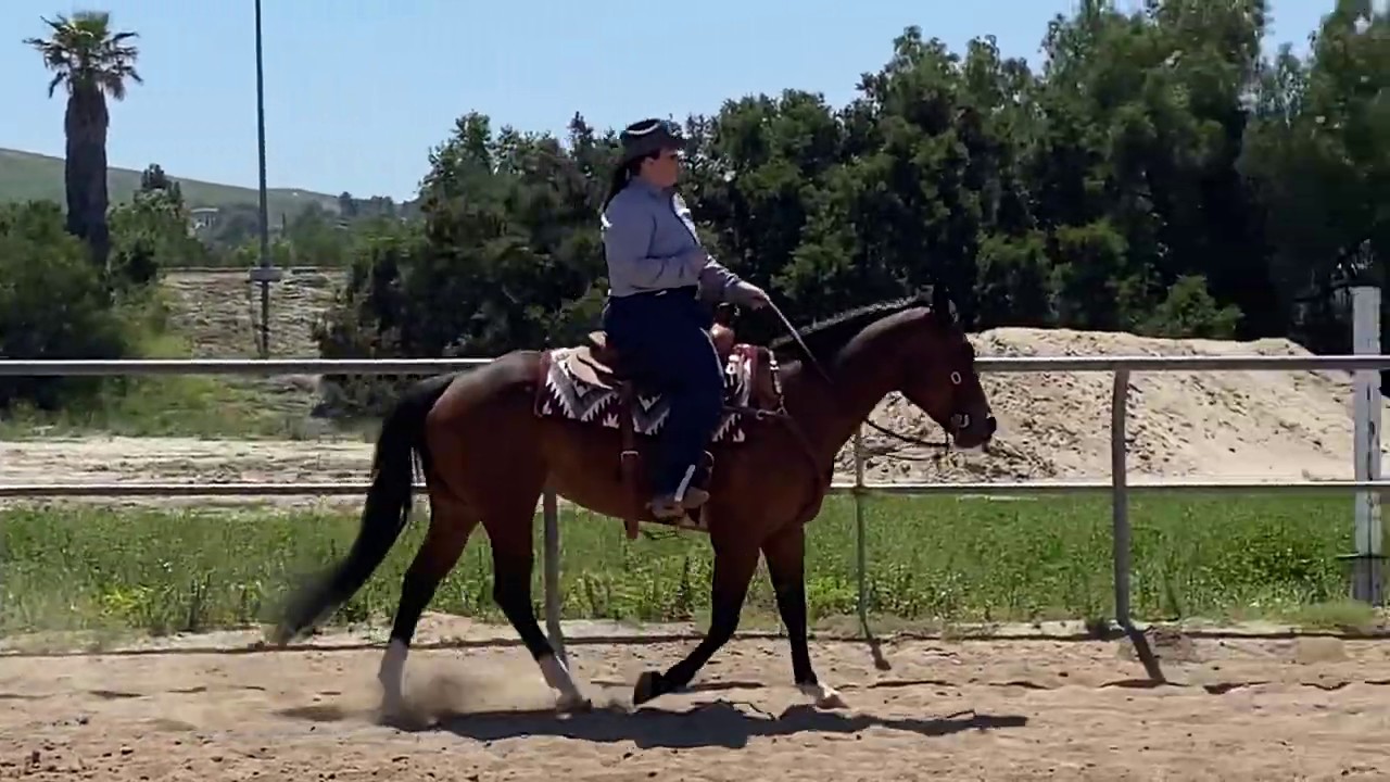 Sr. Ranch Rail Amateur- Talk About Bling - YouTube