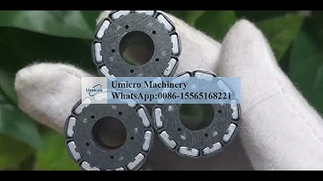 How to insert magnets in brushless motor rotor Automatic magnet loading machine equipment
