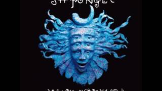 Shpongle ~ Are You Shpongled ~ Full album