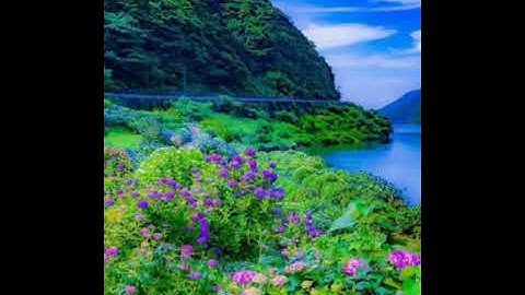 سورة *القيامة" للقارئ :محمد عبد الحكيم هائل