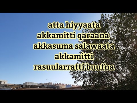 Attahiyyaata Akka Mitti Qaraana