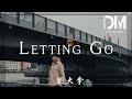 Letting Go 劉大拿 愛情只會讓人變愚蠢 自作多情 愛得太天真 動態歌詞