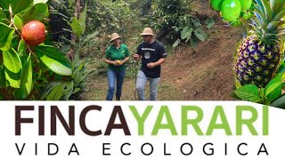 Paraíso en Puerto Rico - Jayuya - Finca Yararí