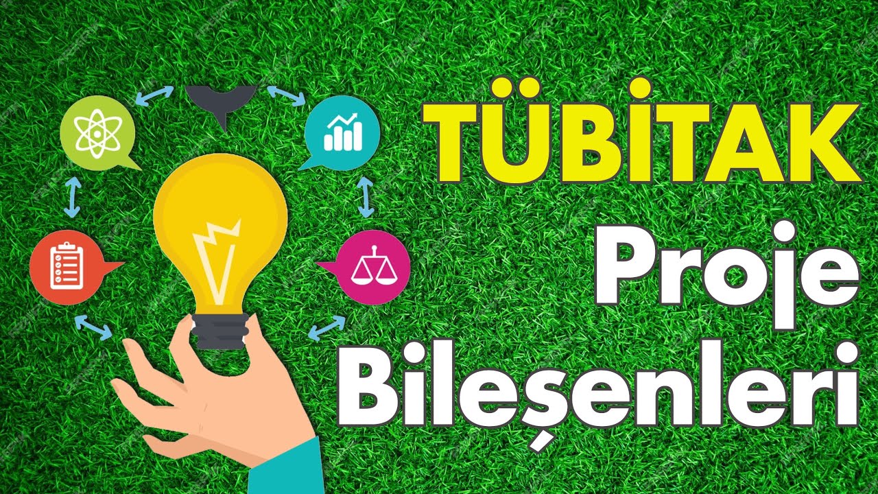 Proje bileşenleri nelerdir? | Proje yazarken hangi bölümler bulunur?