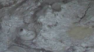 Mudpots Comin' to a Boil