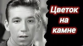 ЦВЕТОК НА КАМНЕ. 1962. Реставрация. Старый советский фильм. Б Брондуков.Кино СССР. Мелодрама.
