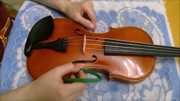 How to Use a Dampit Brand Humidifier, with Anahit