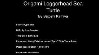 Loggerhead Sea Turtle by Satoshi Kamiya