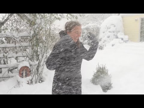 Is Snow Good for Gardens?
