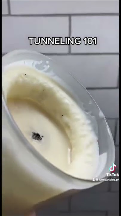 How to Fix Candle Tunneling