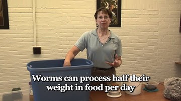 Worm Composting
