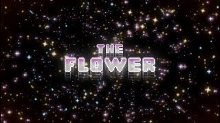 Gumball - Carta De Título De La Flor En Latino