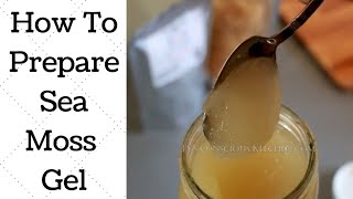 How To Make St. Lucia Golden Sea Moss Tutorial Dr. Sebi Recommended