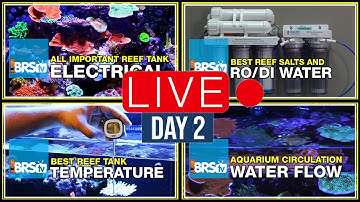 Day 2: So, if I Had a Mentor, It Was… Who’s Your Reefing Mentor(s)? | 11 Days of Reefing