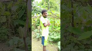 help कैर दे दोस्त😱😱Nagpuri #comedy #video #shorts #Sadri #funny #video #viral #comedy #video