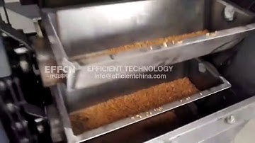 Multipoint z type bucket elevator conveyor