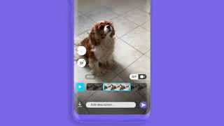 Viber launches feature to let you create your own unique GIF screenshot 2