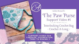 The Paw Purse CAL: Interlocking Crochet Support Video 1 - Foundation thru Row 7