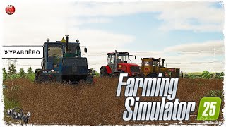 : " "  Farming Simulator 25  STREAM 35