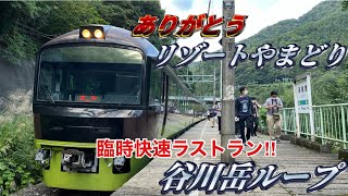 【臨時快速ラストラン‼︎】485系リゾートやまどりで運転‼︎ 臨時快速越後湯沢始発大宮行き谷川岳ループ号ラストランに乗ってきた‼︎