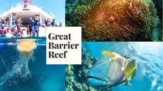 Scenic Ocean Snorkeling in the GREAT BARRIER REEF (background music) by Bianca Julia 193 views 3 years ago 12 minutes, 48 seconds