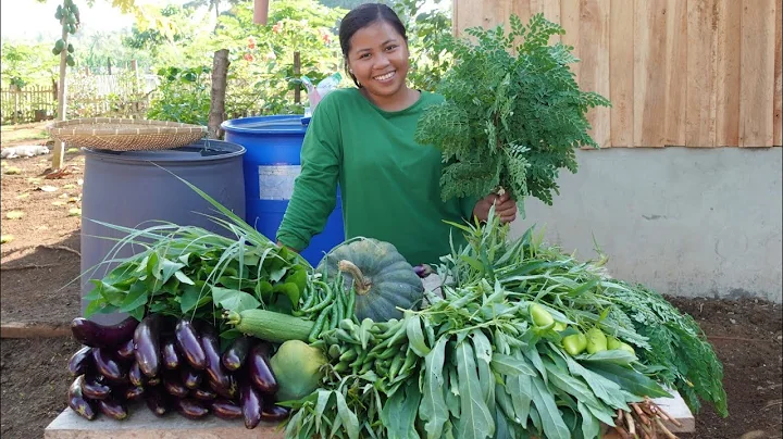 Harvesting Our Vegetables and Garden Tour.