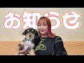 【お知らせ】チャンネルの今後について🌈