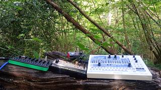 Forest Improv  - A HWJ weekend challenge created outdoors with Roland SH-32, S1 and Korg Volca Keys