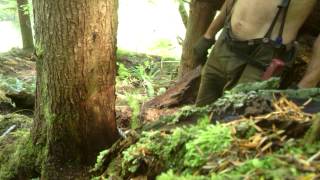 Shane's World - road change hook up tail hold logging