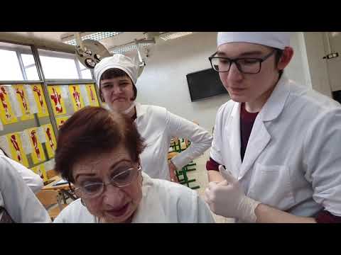 1.1 Конечный мозг: анатомия коры, локализация корковых анализаторов