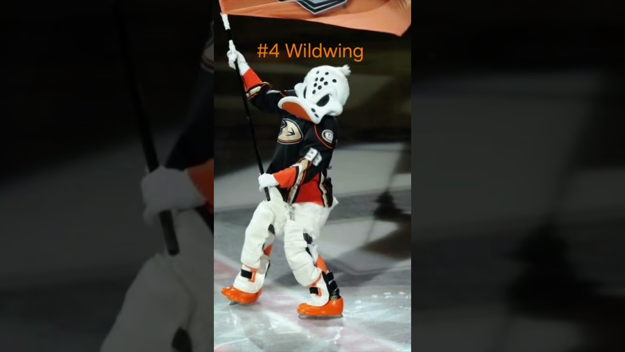 The top 5 NHL mascots 