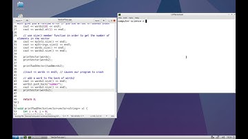 How to use Common Vector Member Functions in C++
