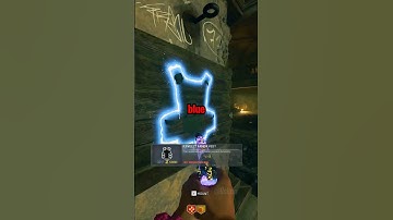 Fastest Way To Level Up & Unlock Camos in Black Ops 6 Zombies!