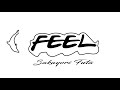 FEEL/酒寄楓太/Music Video